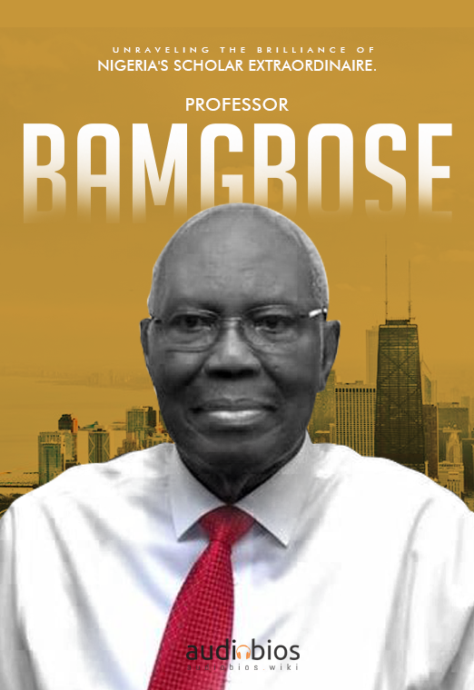 Professor Ayo Bamgbose